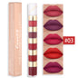 Waterproof Matte Lip Gloss